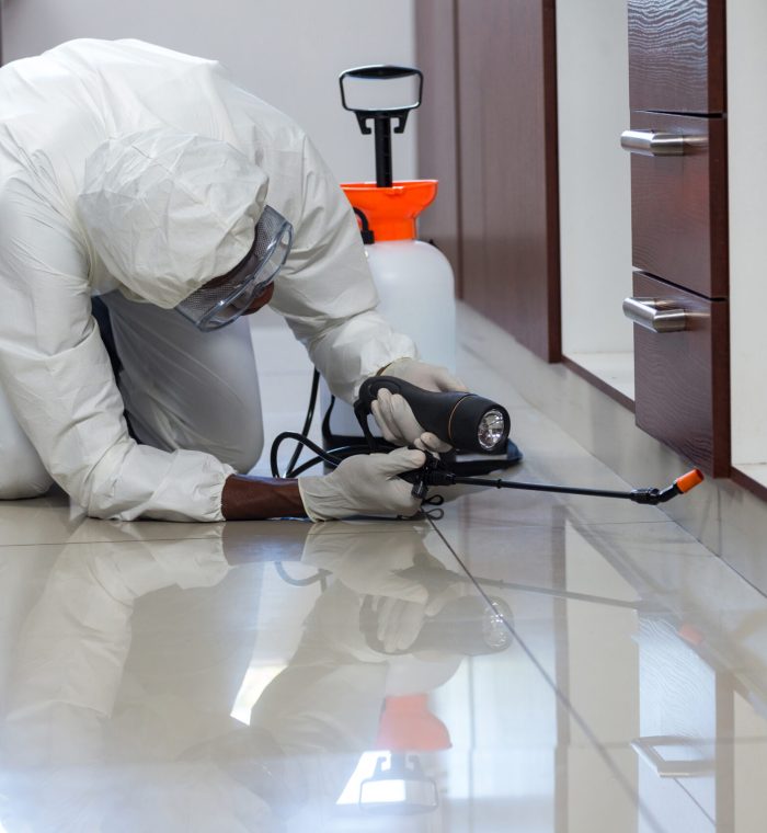 Pest control man spraying pesticide under the cabinet in kitchen